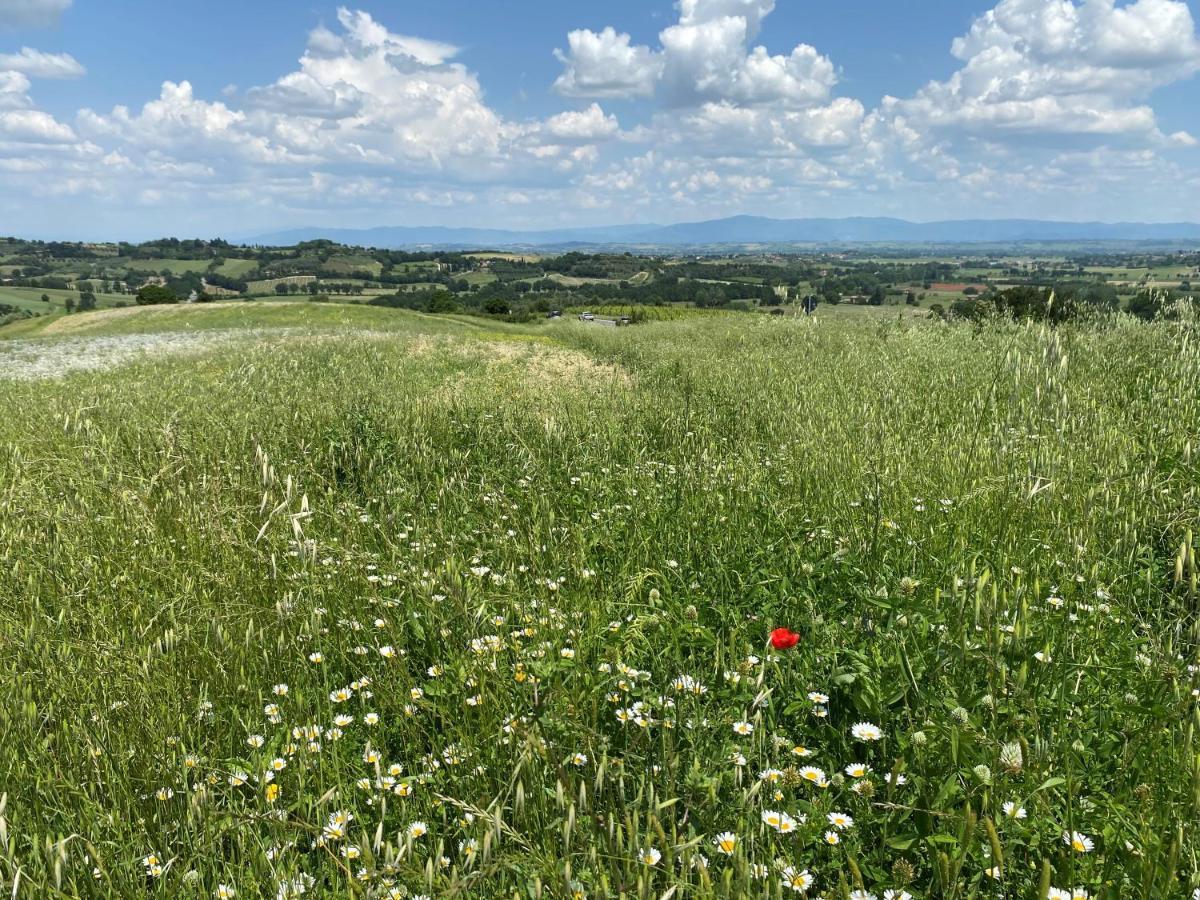 La Collina Farm stay