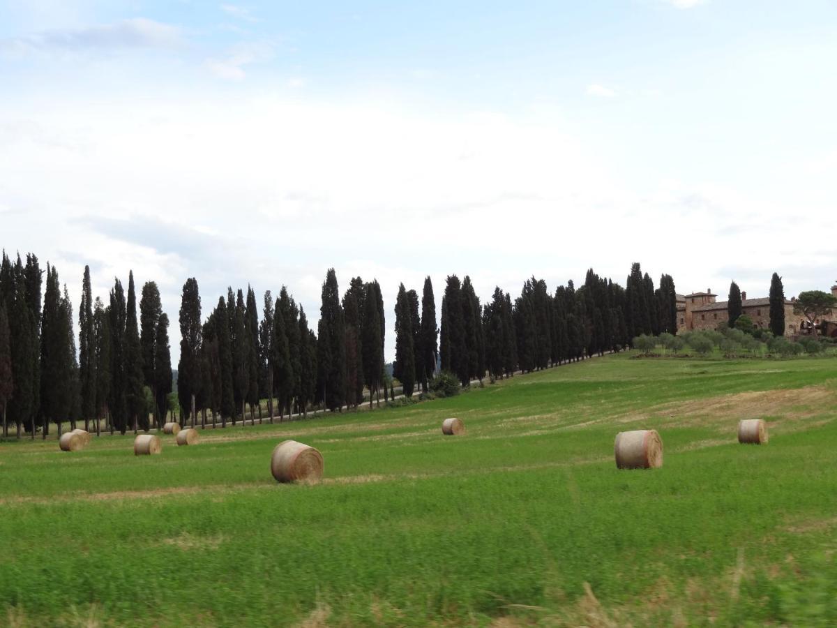 La Collina Siena