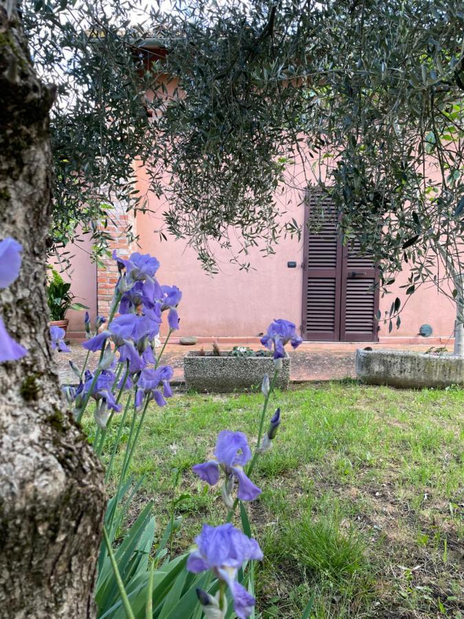 La Collina Farm stay *