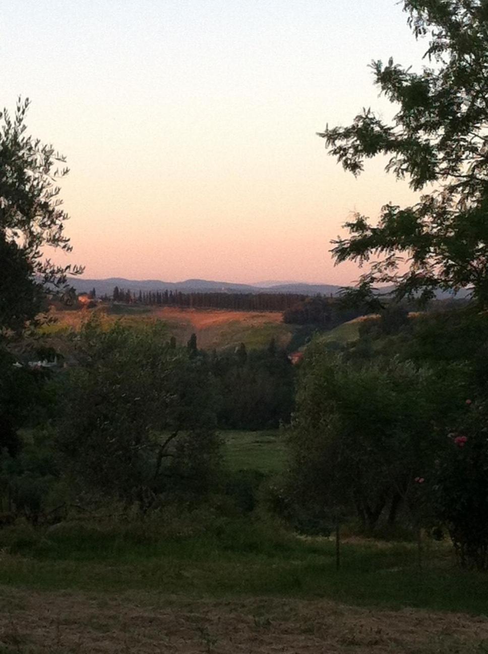 Farm stay La Collina Siena