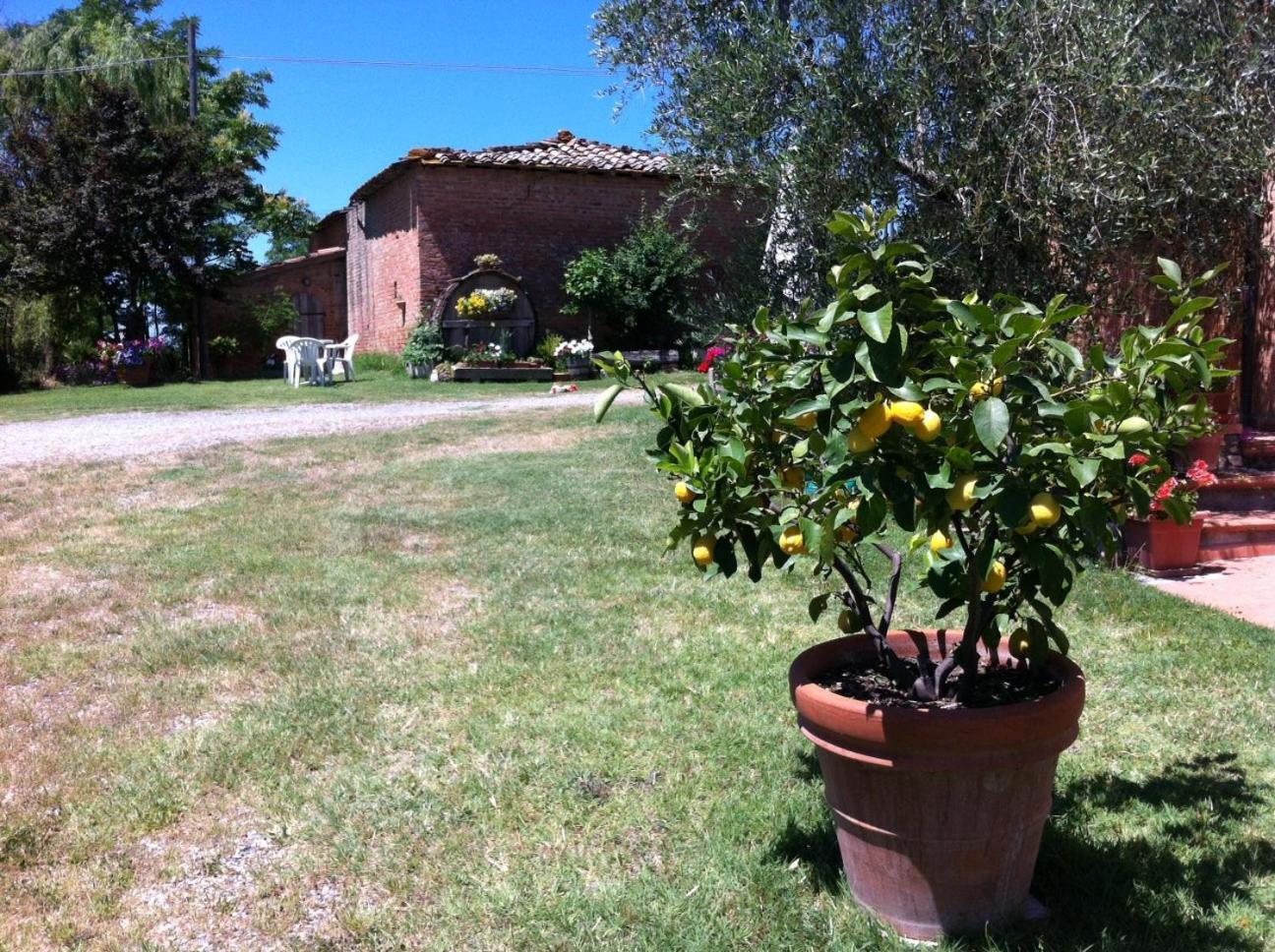 Farm stay La Collina *